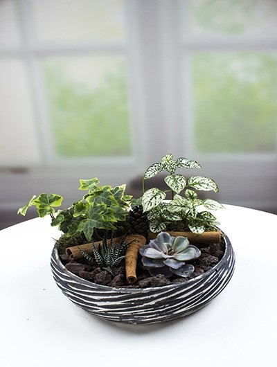 Taro Vazoda Bonsai ve Şamadora 5729