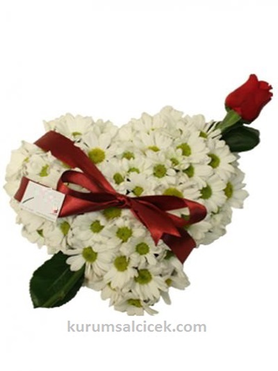 Özel Aşk Çiçeği Papatya ve Gül