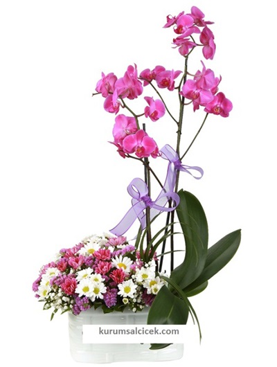 Mor Renk Orkide ve Kır Çiçekleri