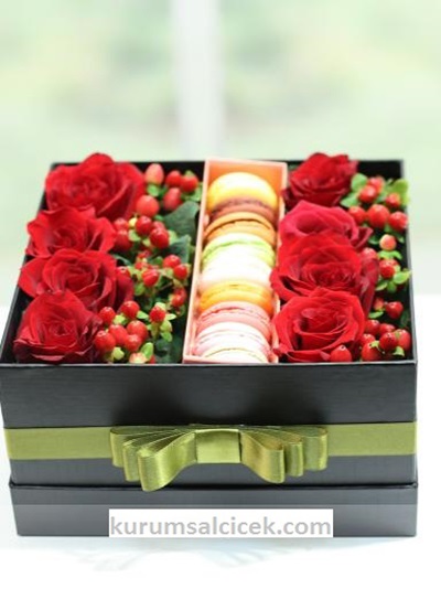 Siyah Kutuda Kırmızının Asilliği 3508