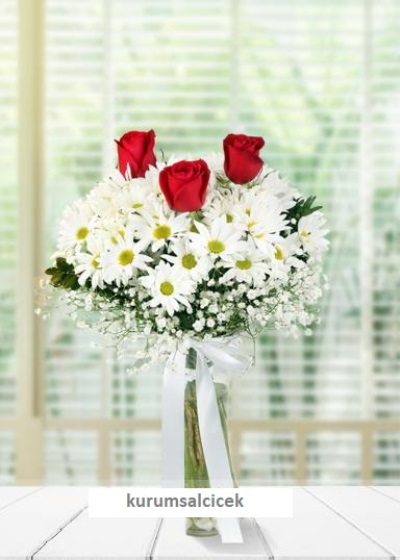 Vazoda Papatya ve 3 Ad. Kırmızı Gül