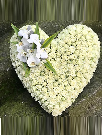 Kalp Beyaz Gül ve Orkide 5607