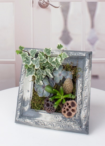 Taş Çerçeve Teraryum 5760