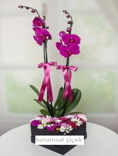 Mor Orkide ve Kır Çiçekleri