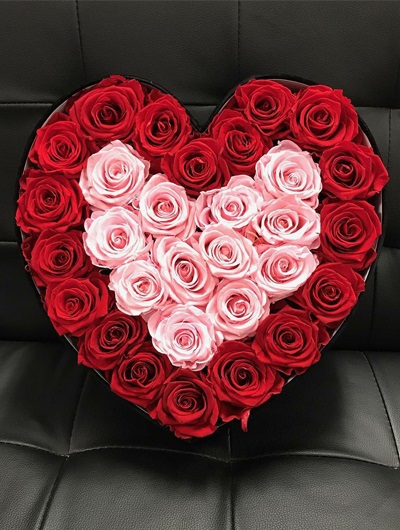 Kutu İçerisinde Pembe Kırmızı Güller 5484