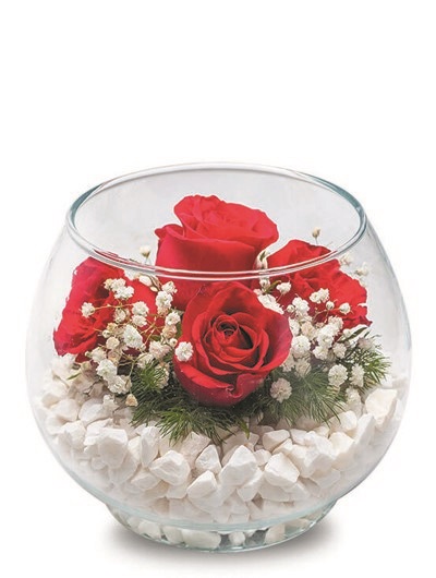 Fanus Camda 5 adet Gül 5749