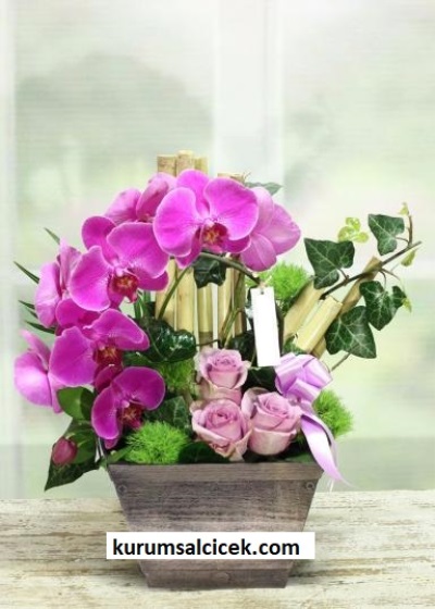 Aranjman Çiçek 3086