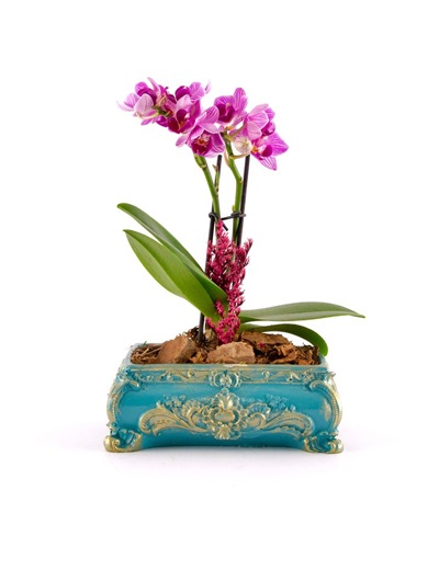 Dekor Taş Seramikte Mini Orkide 6831