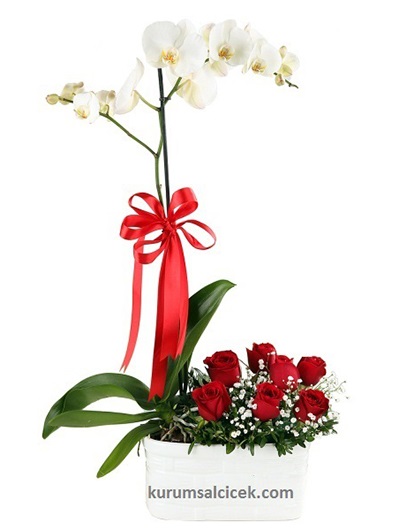 Seramik İçerisinde Orkide ve Gül