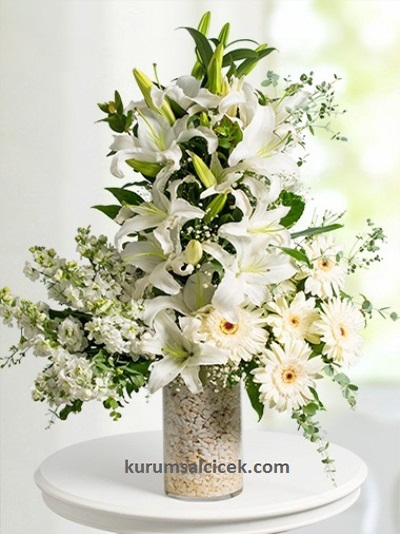 Beyaz Boylu Aranjman