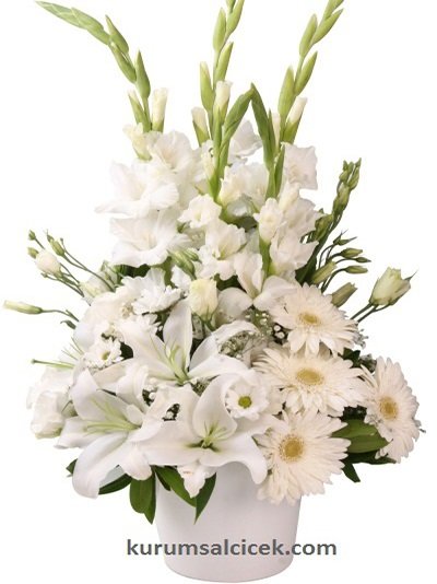 Seramik İçinde Beyaz Aranjman